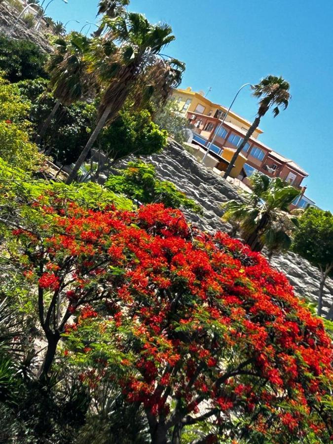 Villa Natali ,Luxury 3-Levels Large Villa On Tenerife, Ocean View, Private Poo L& Barbecue Area Costa Adeje  Exterior photo